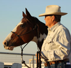 professional training for horse and rider